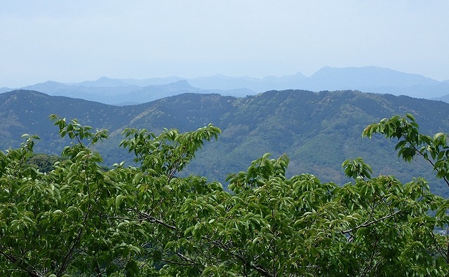P4287812.jpg