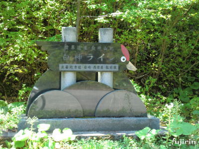 白神路8