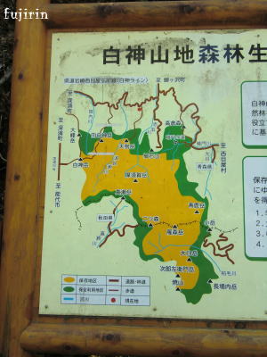白神路11