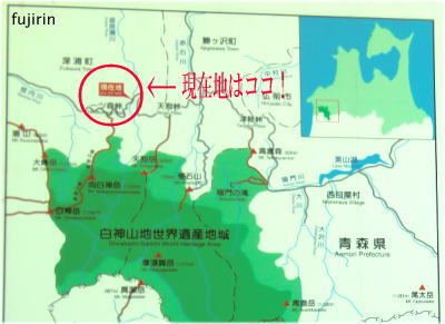 白神路20