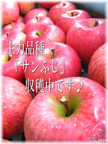 サンふじ