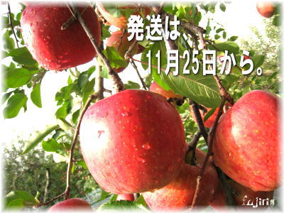 サンふじ2