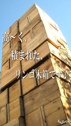 秋の収穫写真4