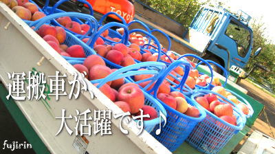 秋の収穫写真6
