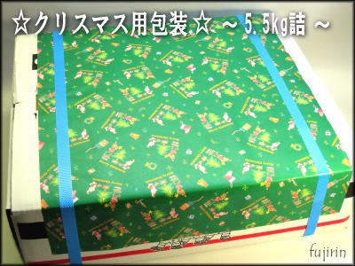 クリスマス包装1