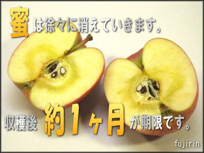 蜜入り林檎1