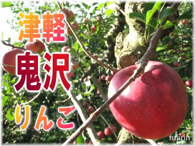 津軽鬼沢りんご