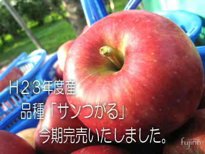 品種サンつがる完売