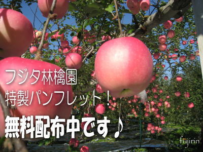 特製パンフレット無料配布中
