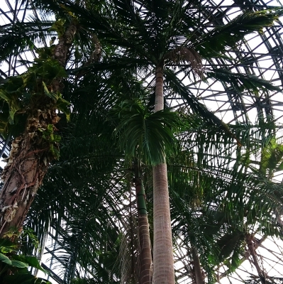 植物館