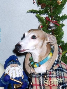 *〜クリスマス?〜*