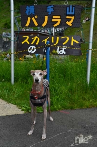 志賀高原1