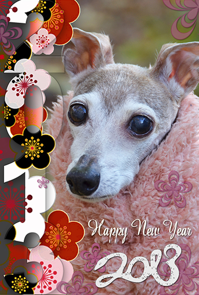 newyearcard1