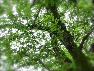 CIMG0868.JPG