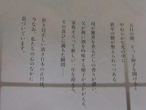 IXY200IS新聞広告文字