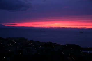 IMG_8013.jpg
