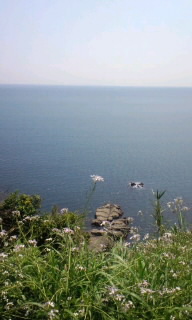 090428_1249~010001.jpg