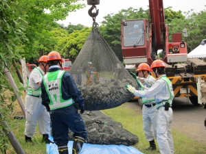 訓練の様子