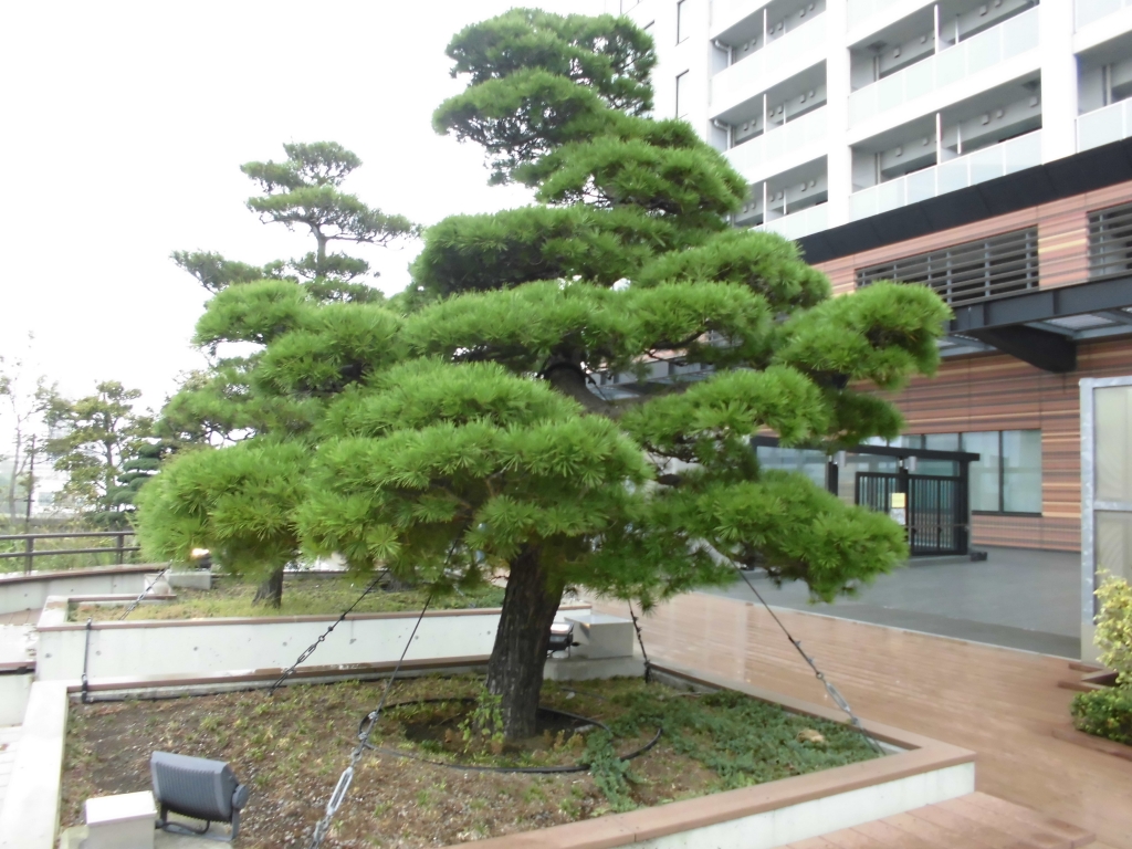 目黒天空庭園１