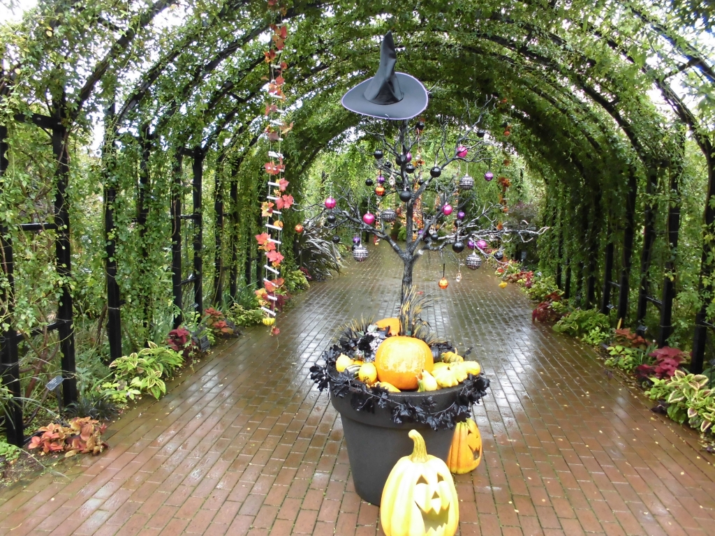 横浜イングリッシュガーデンハロウィン２