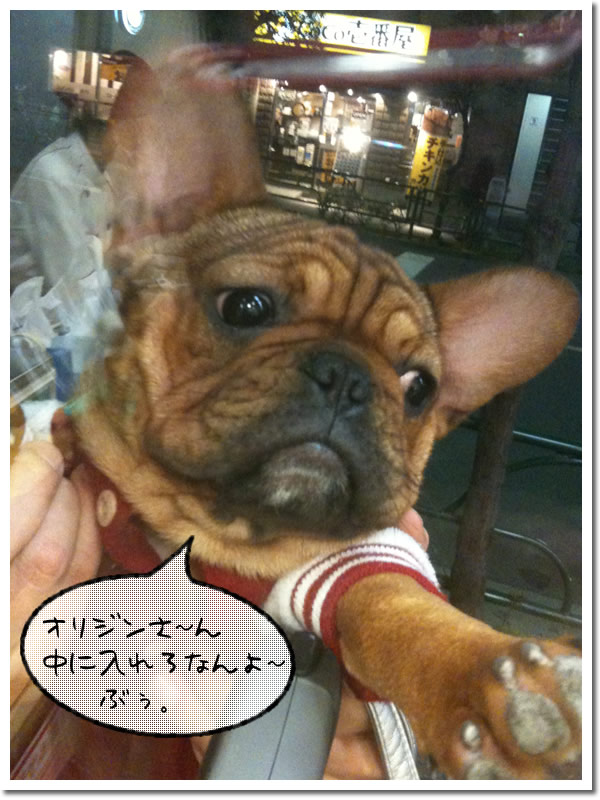 窓越しオリジン