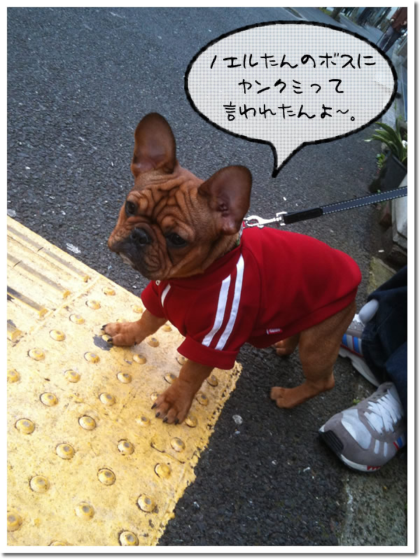 お散歩 赤ジャージ