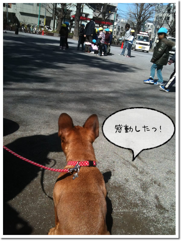 幼稚園児