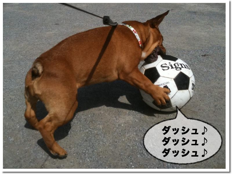 キャプ2ちぇ 3