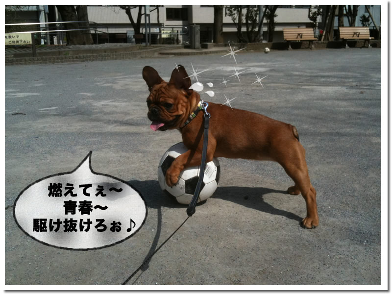 キャプ2ちぇ 5