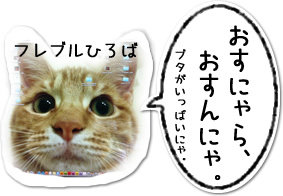 フレンチブルドッグひろば