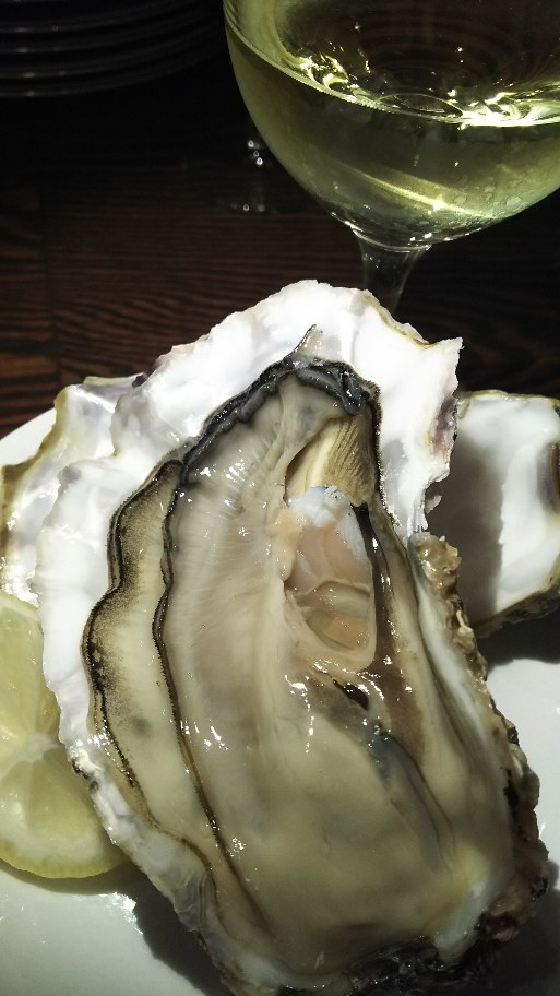 DSC_2512.JPG