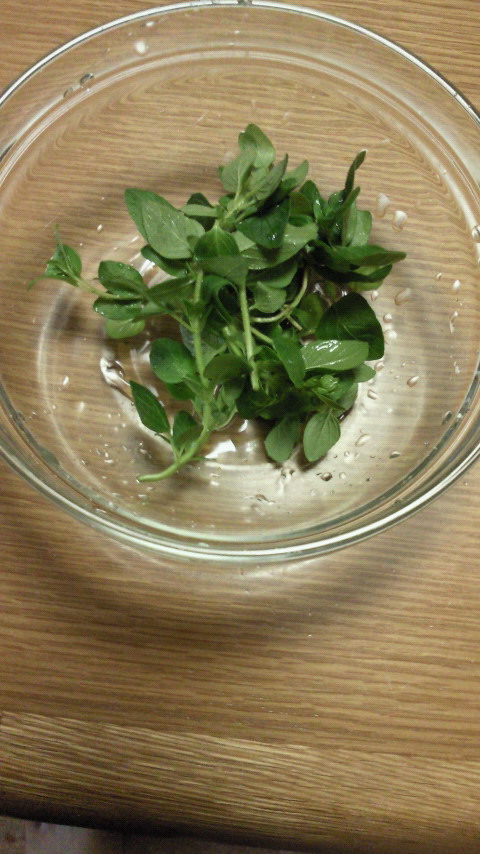 201006271246000.jpg