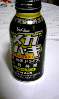 090806_001655.jpg