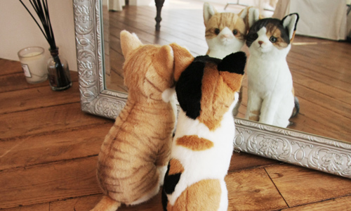 三毛猫とトラ猫のおすわりぬいぐるみ