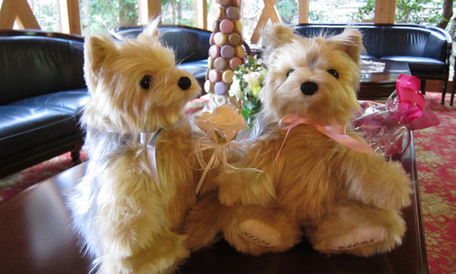 結婚式ウェルカムアイテム 愛犬