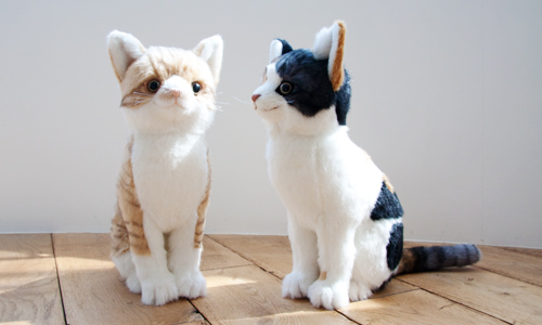 ウェディングアイテム 愛猫