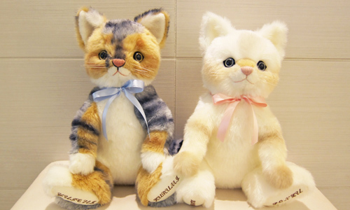 ウェルカムアイテム 愛猫