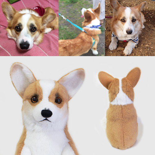 話題のウェイトドール 愛犬そっくり コーギーのぬいぐるみ