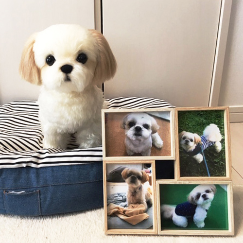愛犬シーズーのぬいぐるみ ペットロスに 親へのプレゼント