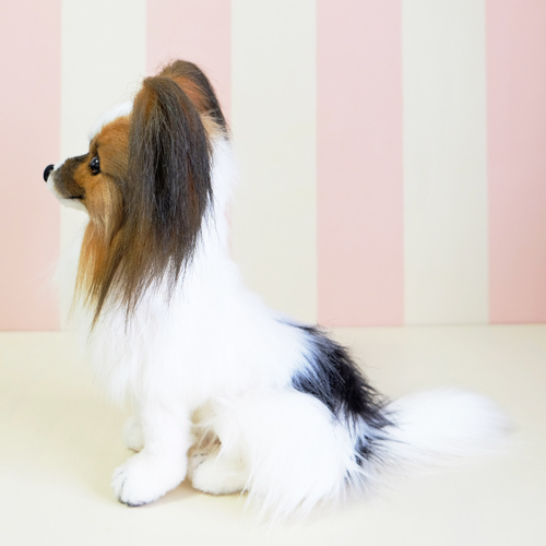 パピヨン 男の子 愛犬のぬいぐるみ ウェルカムドール