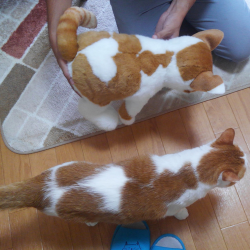 白茶ネコのぬいぐるみ ウエイトキャット ペットのウエイトドール