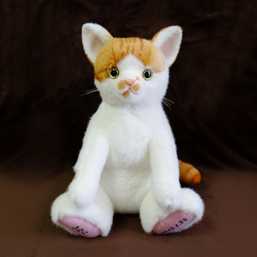 ウェルカムドール 愛猫 ウェイトキャット 白茶猫
