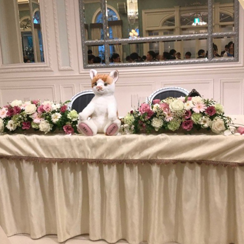 結婚式のウェルカムドール 猫グッズ ペット