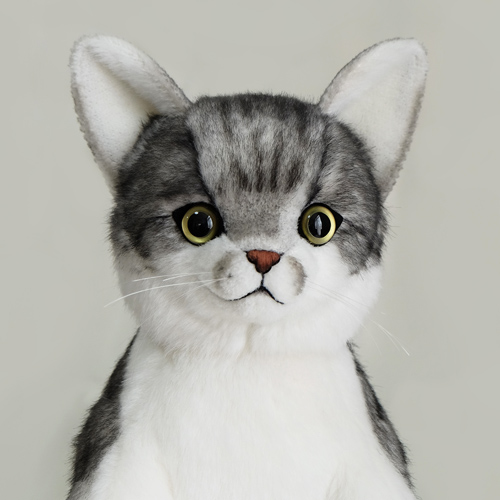 トラ猫 ペット 愛猫のウェイトドール ウェイトキャット