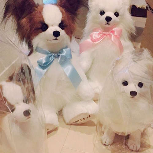 結婚式 愛犬グッズ ポメラニアン パピヨンのぬいぐるみ