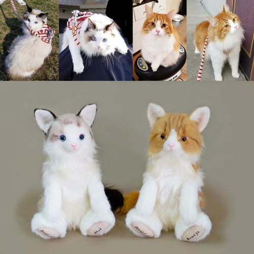 ウェルカムスペース 愛猫のぬいぐるみ メインクーン