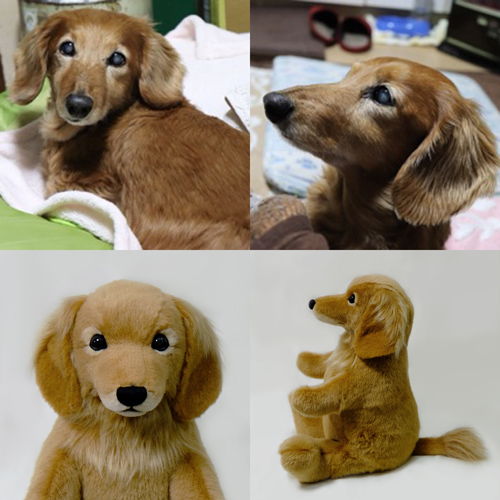 ダックスフンドのウエイトドール ペットのぬいぐるみ 両親へのプレゼント