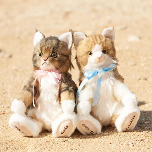 愛猫メインクーンのウェルカムドール ぬいぐるみ