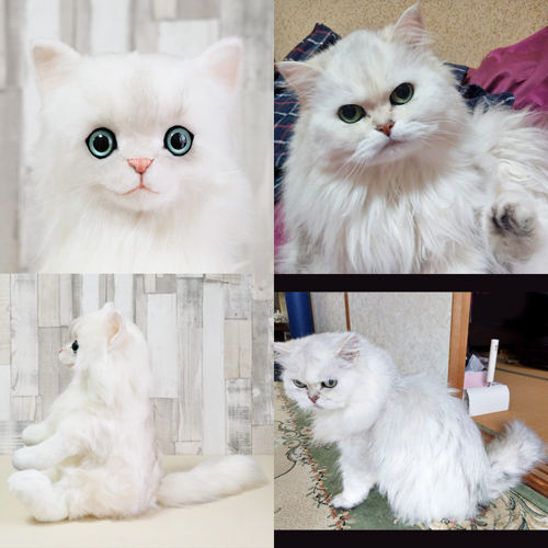愛猫チンチラシルバーのぬいぐるみ ウエイトドール