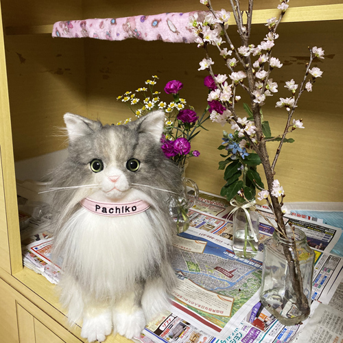 リアルなぬいぐるみ 愛猫そっくり ノルウェージャン 制作